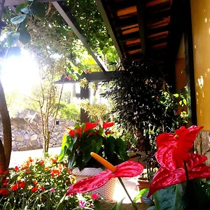 https://buzios-san-francisco.cabofriohotels.org