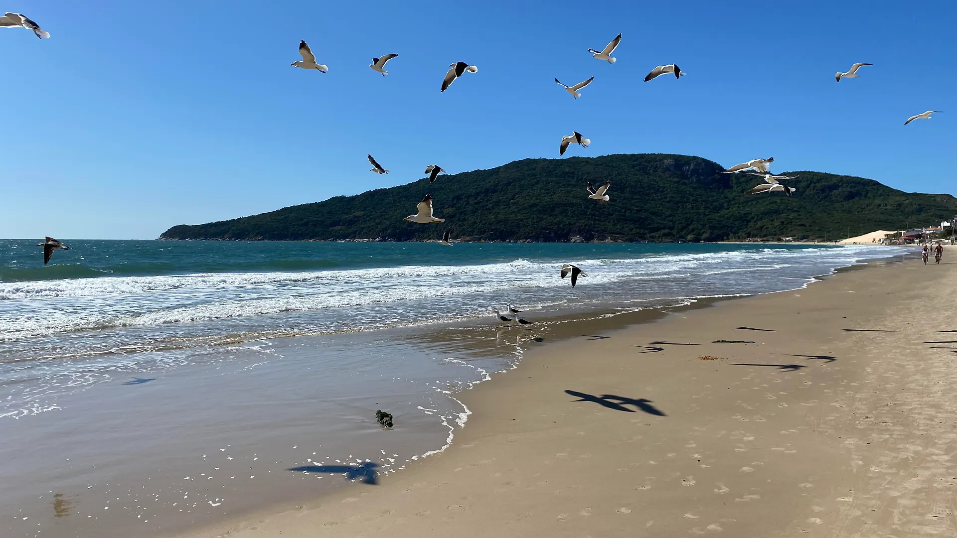 Hotel & Pousada Favareto Florianopolis Brazil